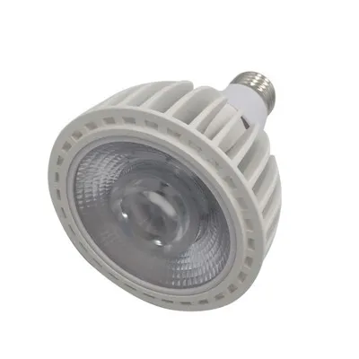 PAR30 LED SPOTLICHT