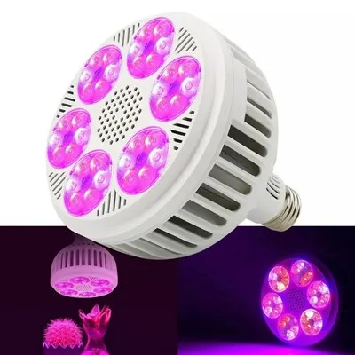 Ультрафиолетовая лампочка